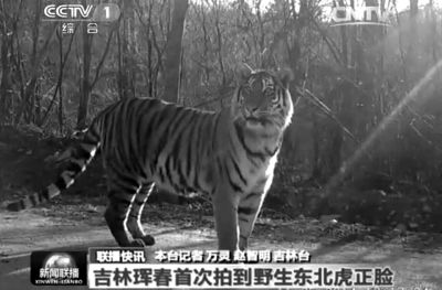 央视截屏